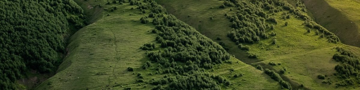 mountain-slope-6374980_1280